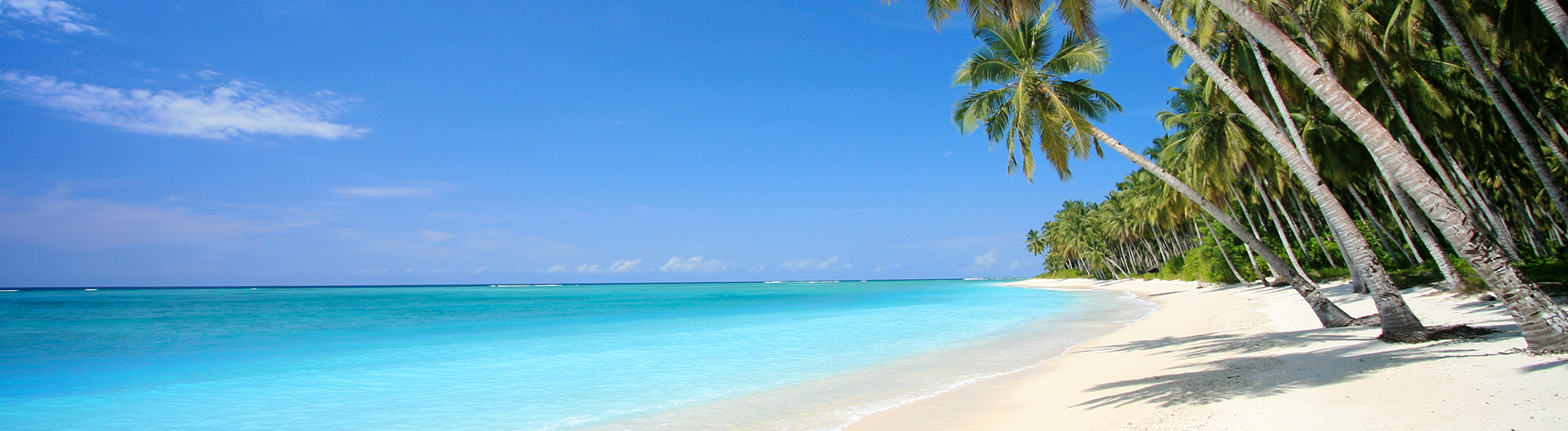 REP DOMINICANA
