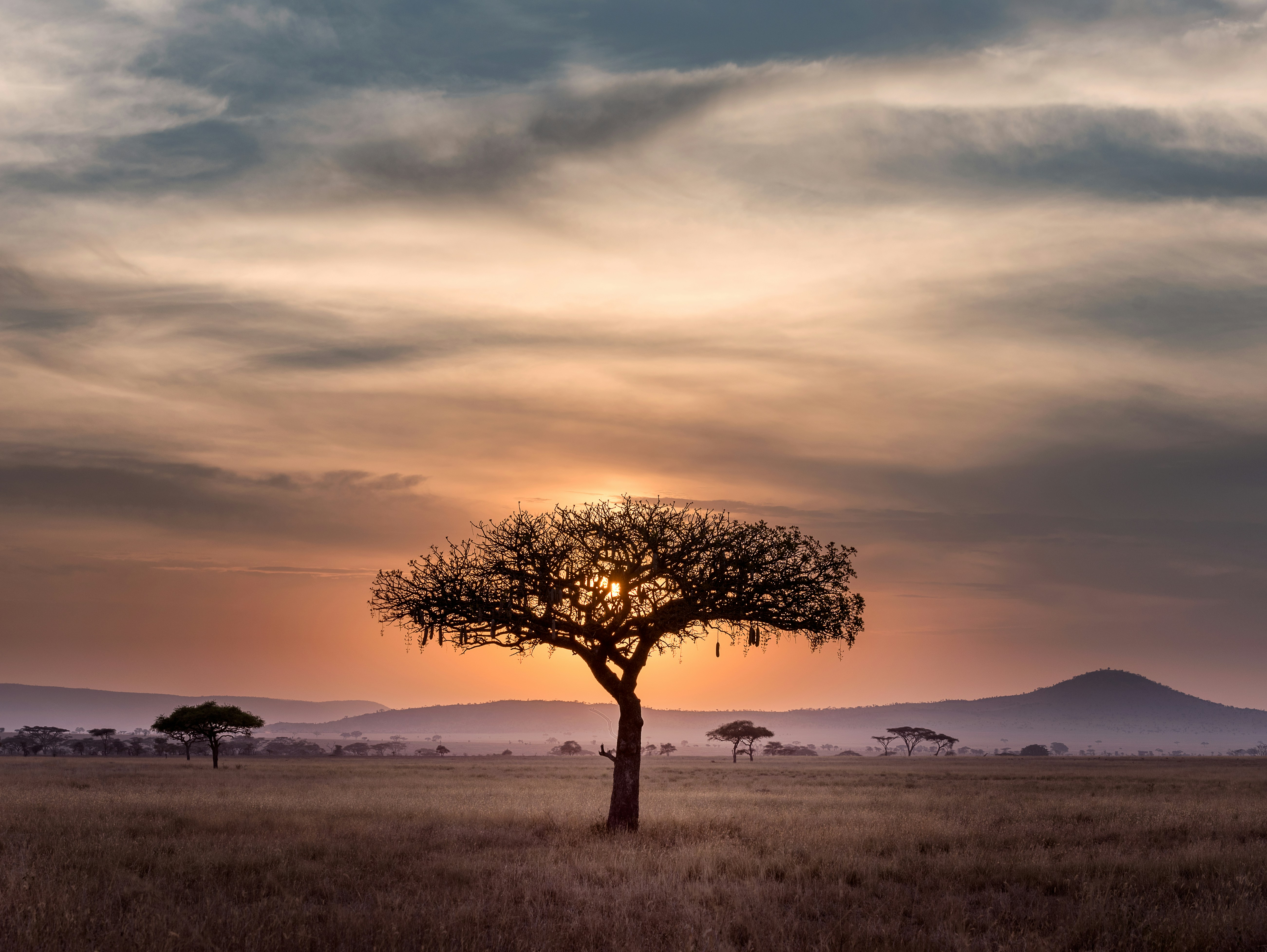 unsplash-photo-60xloogwkfa_2024-05-10-15-32-28.jpg