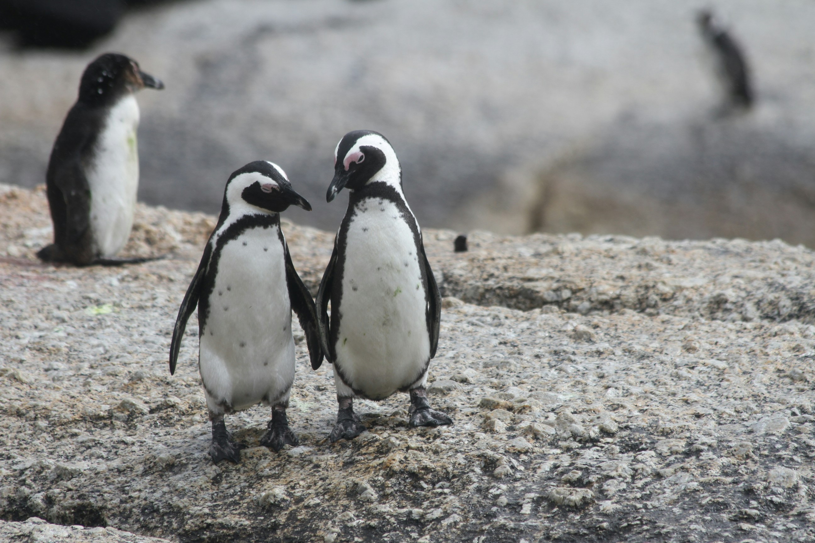 unsplash-photo-c0y30cwbyec_2024-05-10-15-42-18.jpg