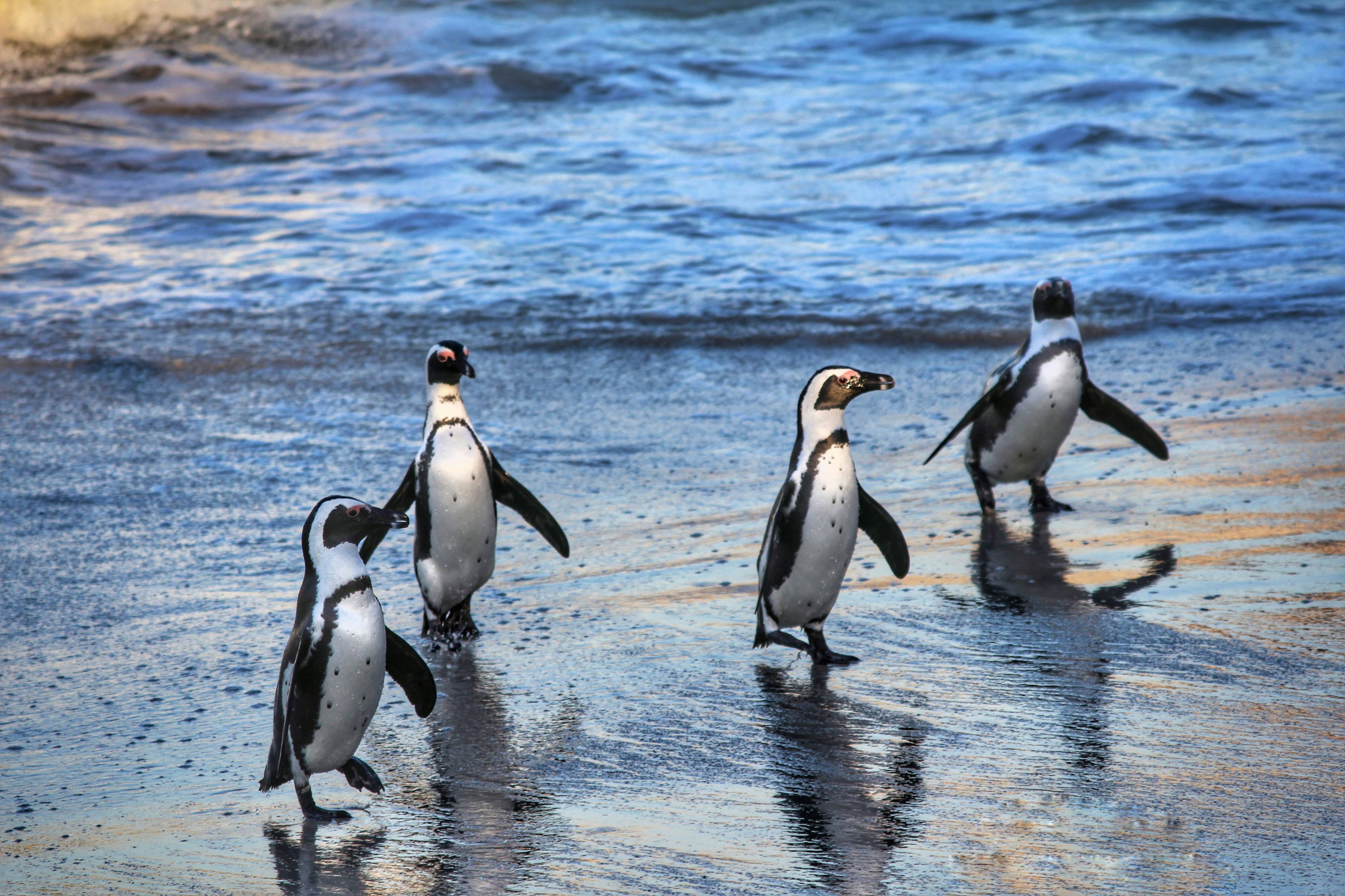 unsplash-photo-m26sclwbclm_2024-05-10-15-40-24.jpg